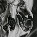 tattoo galleries/ - untitled